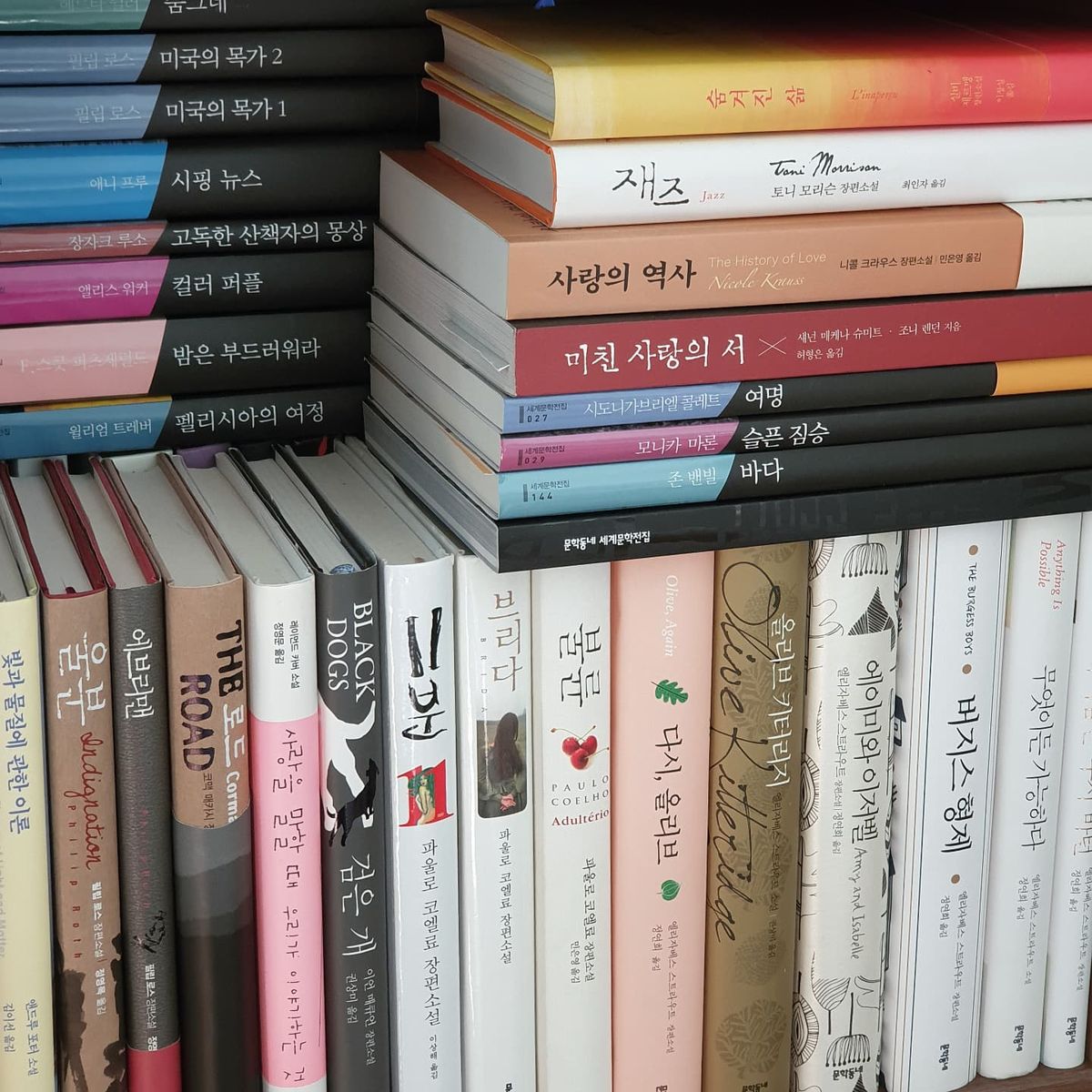 에세이·인문 읽기 컨셉 컷